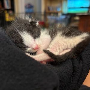 Meet your Posher, Emily